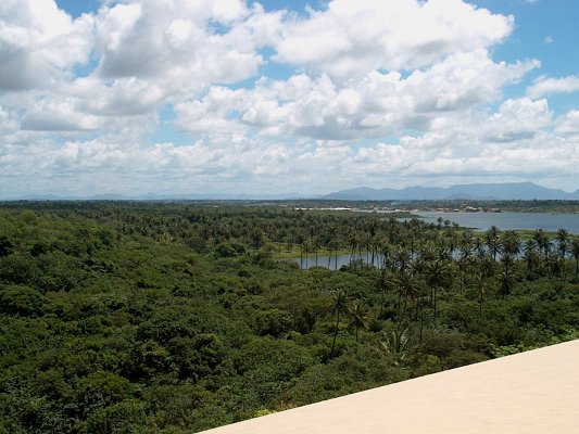 44 Brasil esta verde